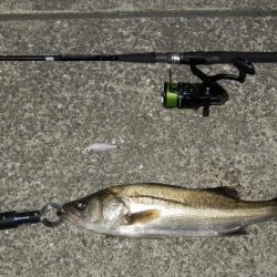 交通事故⁇再現氏は‼ゼロ~、、、